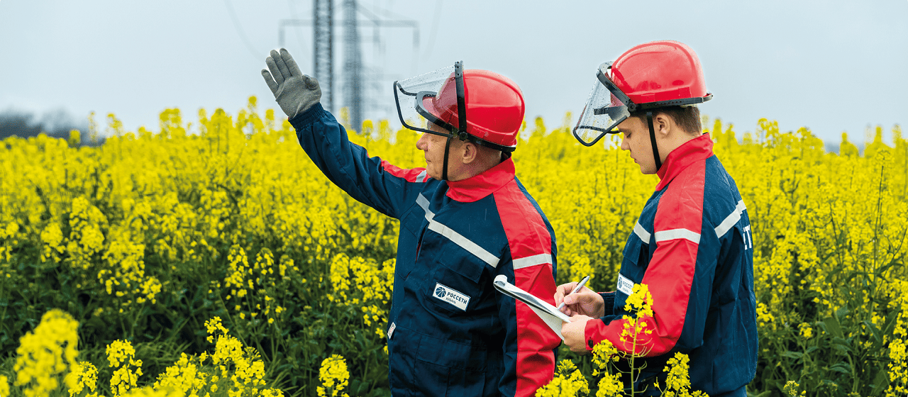 Сотрудники